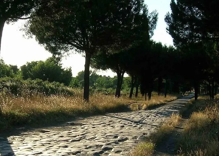 Colfelice